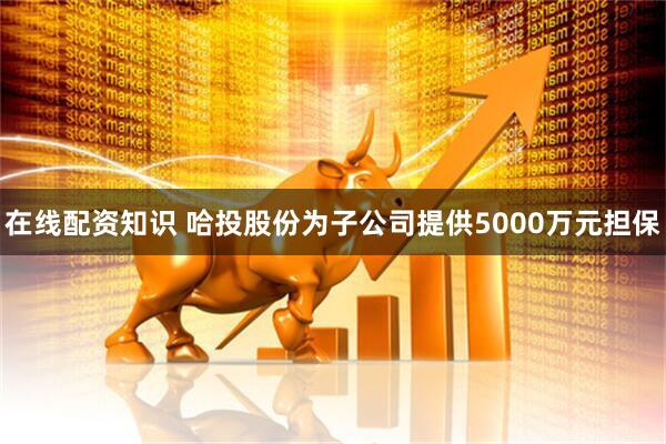 在线配资知识 哈投股份为子公司提供5000万元担保