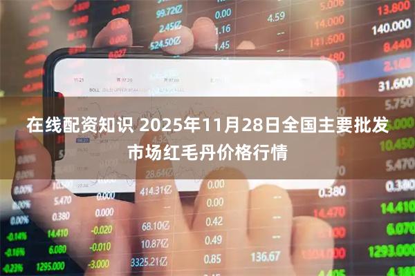 在线配资知识 2025年11月28日全国主要批发市场红毛丹价格行情