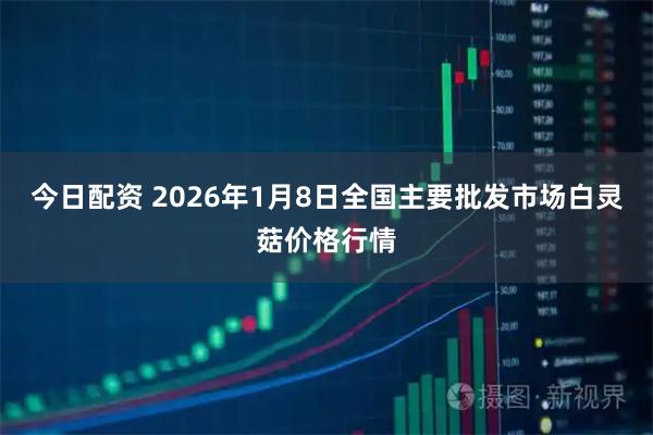 今日配资 2026年1月8日全国主要批发市场白灵菇价格行情